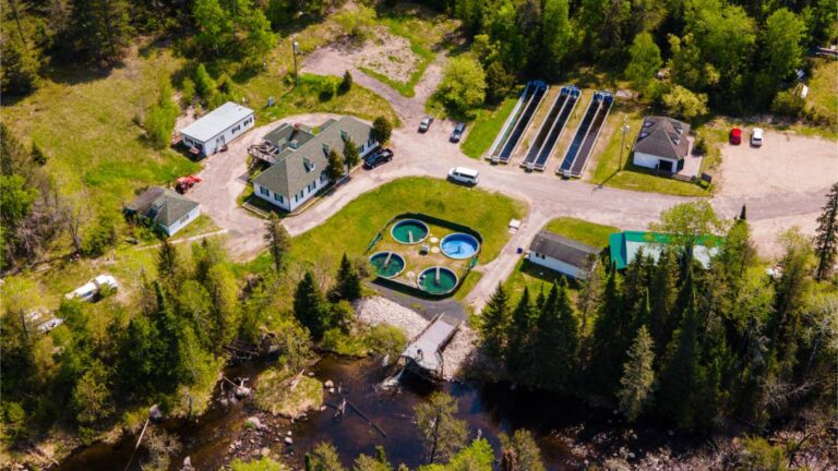 fish hatchery 1 768x432