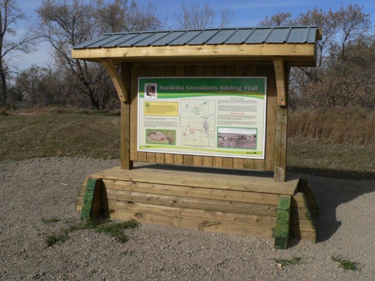 Manitoba Grasslands Birding Trail1 768x576