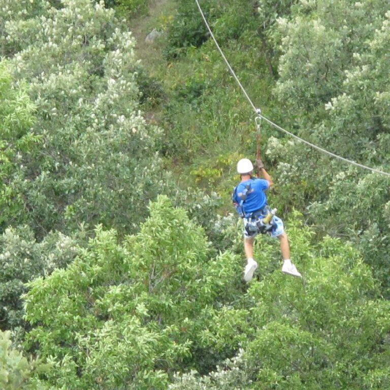 hy wire zipline adventures 768x768