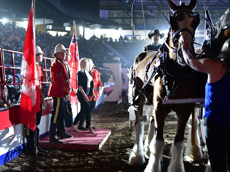 winter fair 768x576